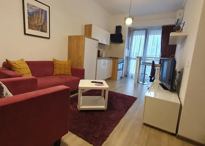 Studio 28 - 1 Camera Lazar Residence Ultracentral